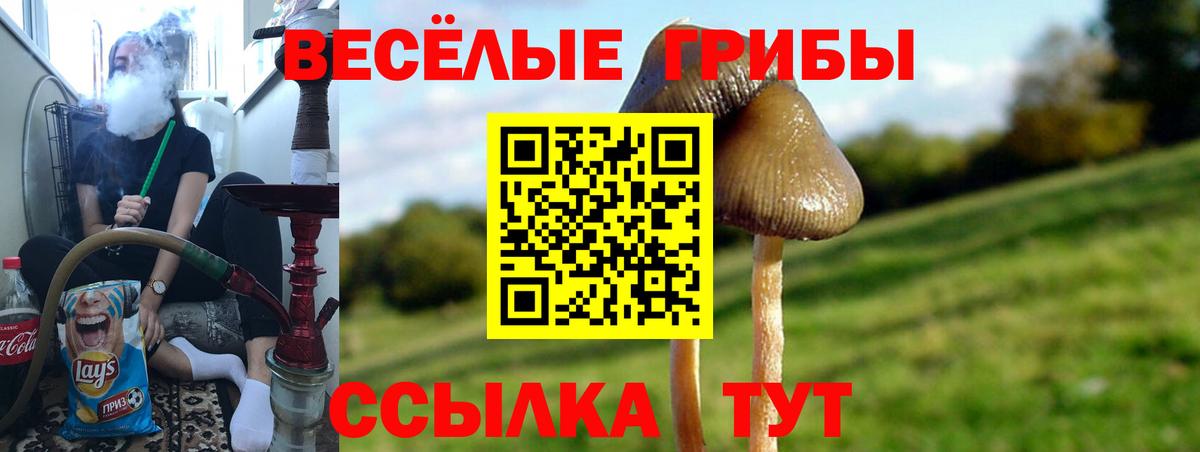 Галлюциногенные грибы мицелий Уфа